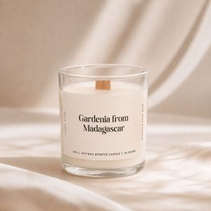 Gardenia From Madagascar