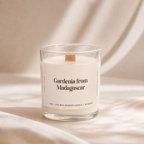 Gardenia From Madagascar